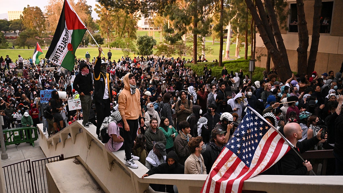 Protesters, Palestinian flags