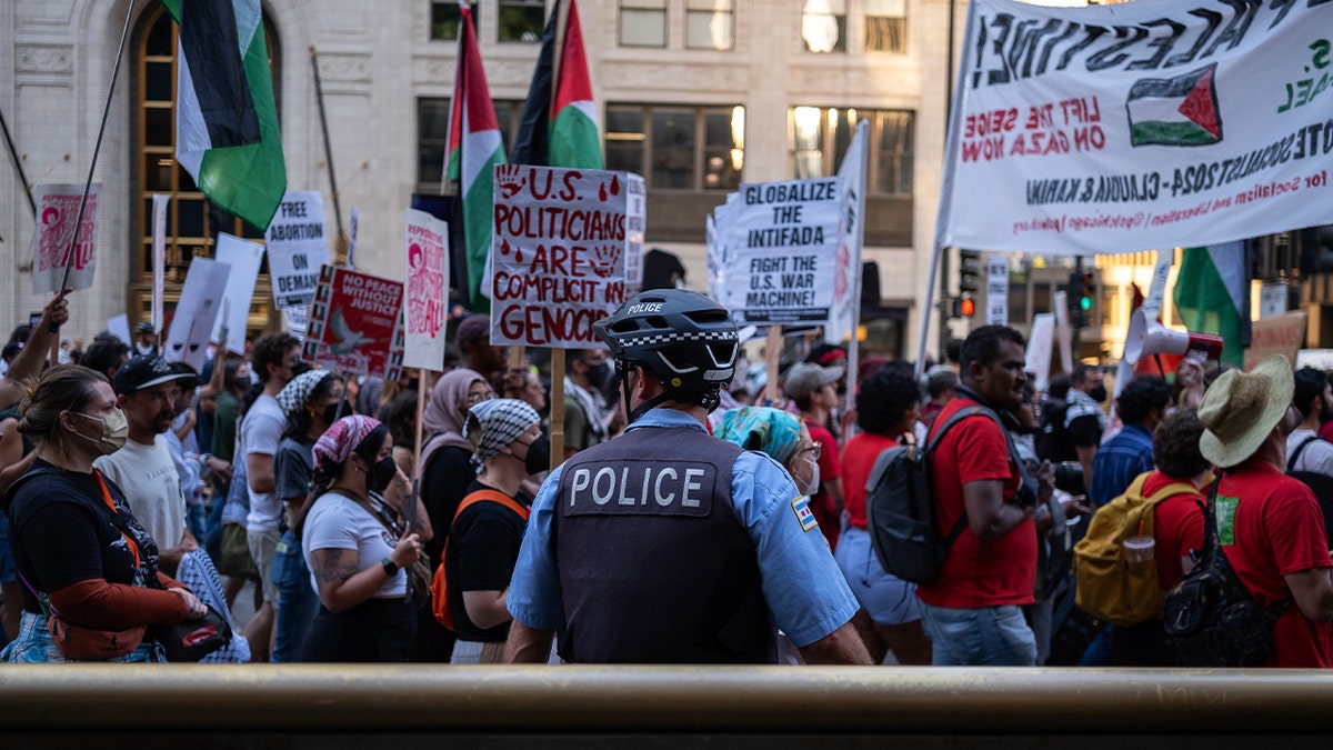 Pro-Palestine protesters march ahead of the Democratic National Convention