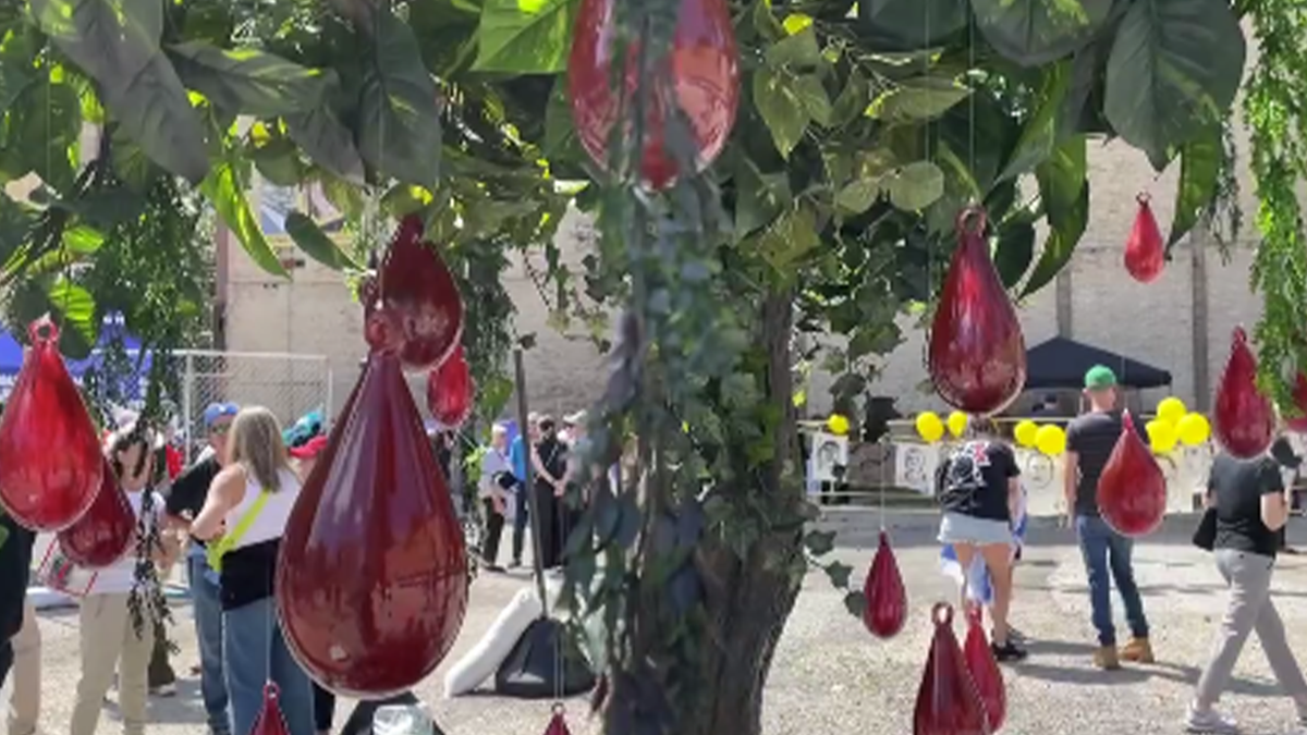 Tree with drops of blood DNC Chicago