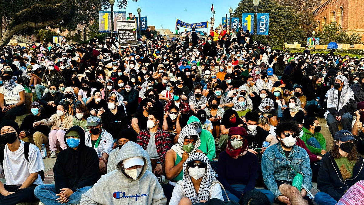 Anti-Israel agitators at UCLA