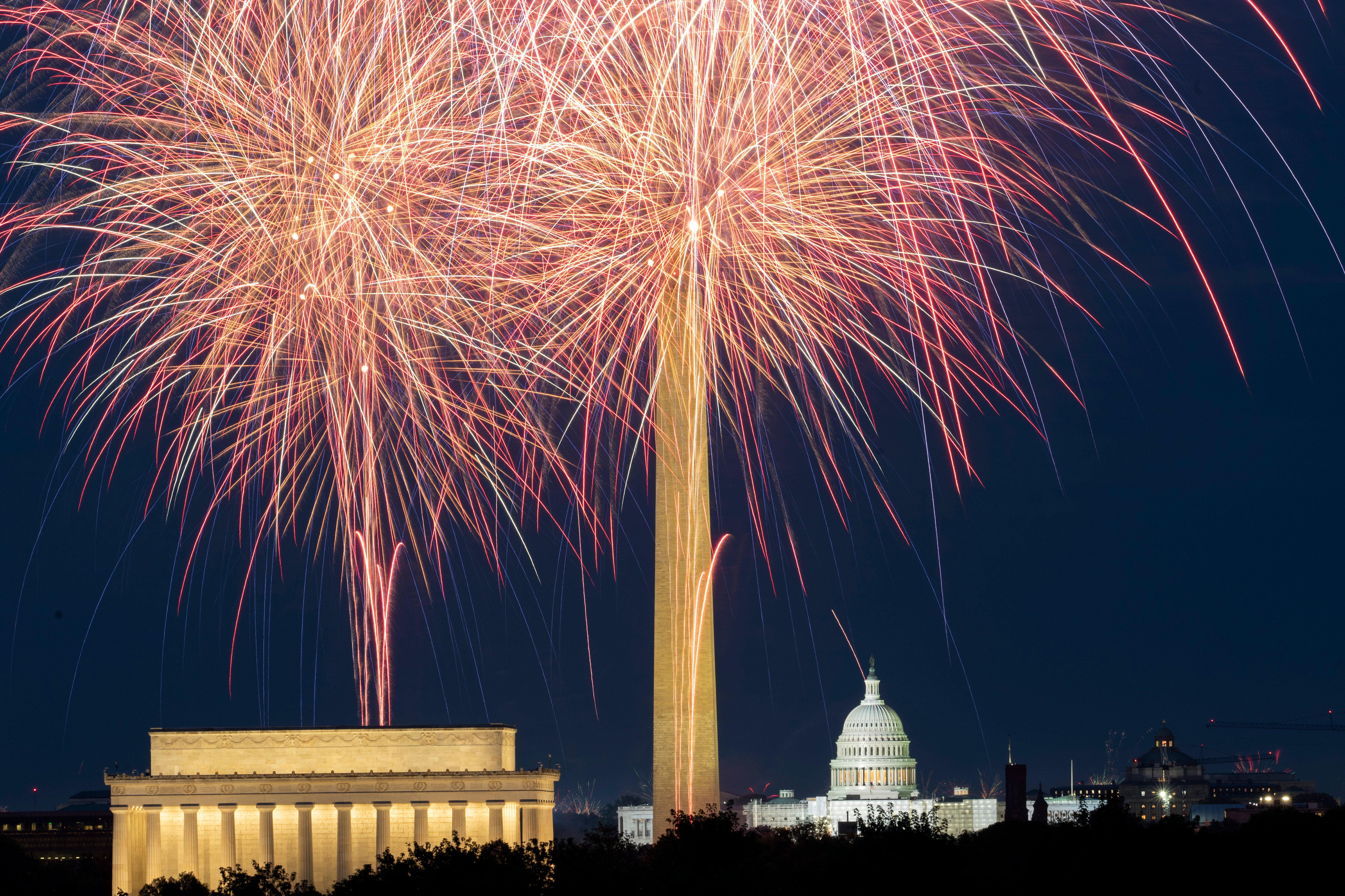 Fireworks might scare cats but it doesn’t stop Washington, DC being the second childless cat lady in the country