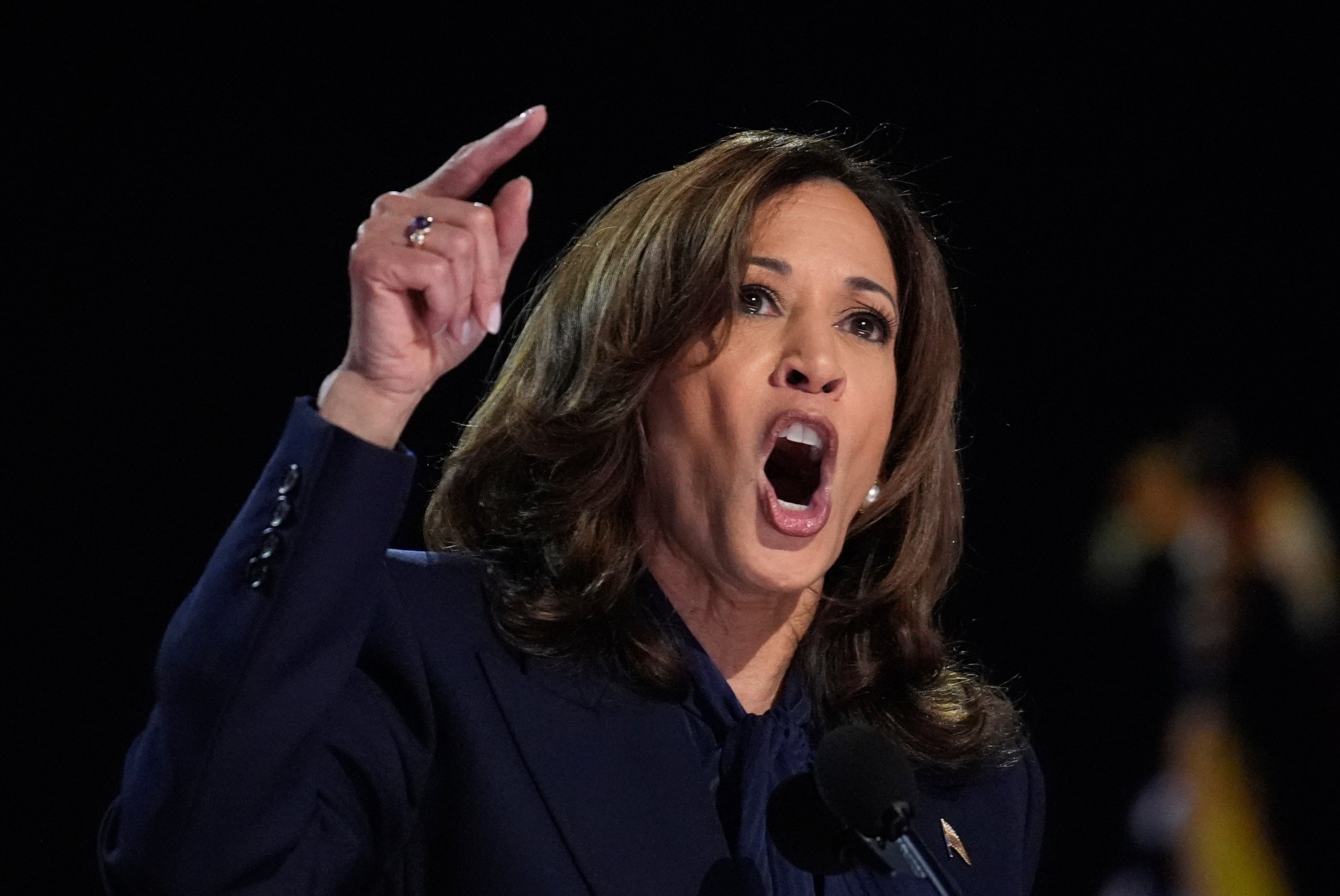 Kamala Harris delivers closing remarks at the Democratic National Convention on August 22.