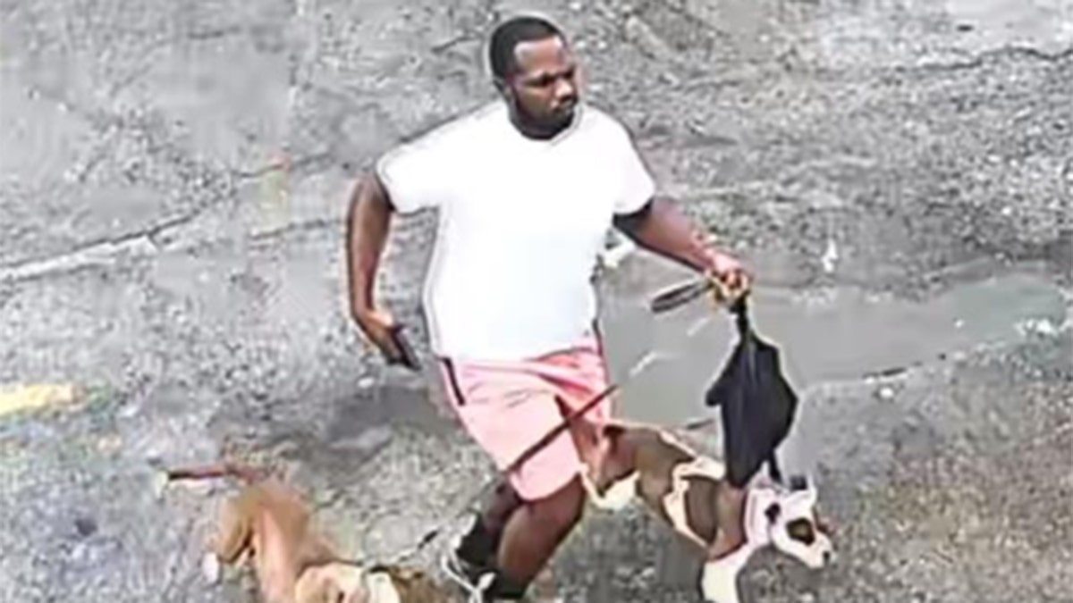 Chicago homicide suspect runs with dogs