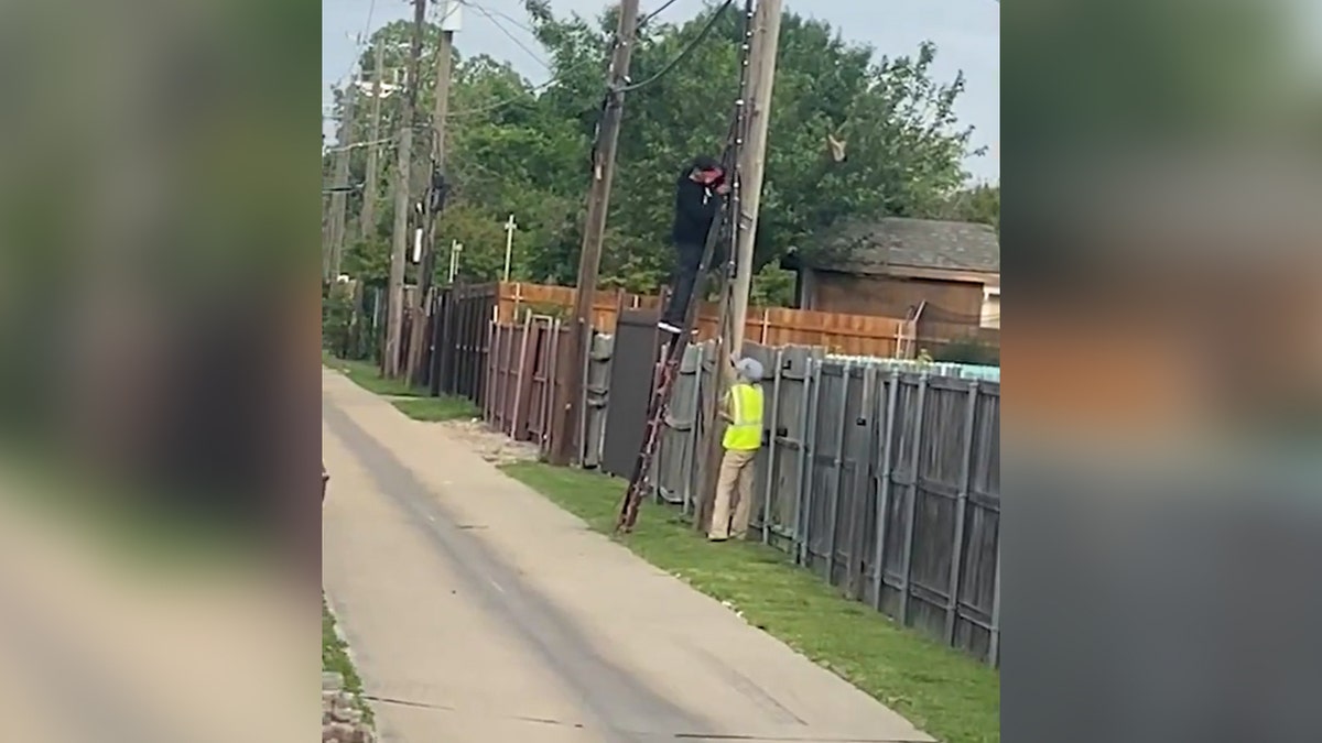 People on a ladder stealing copper wire