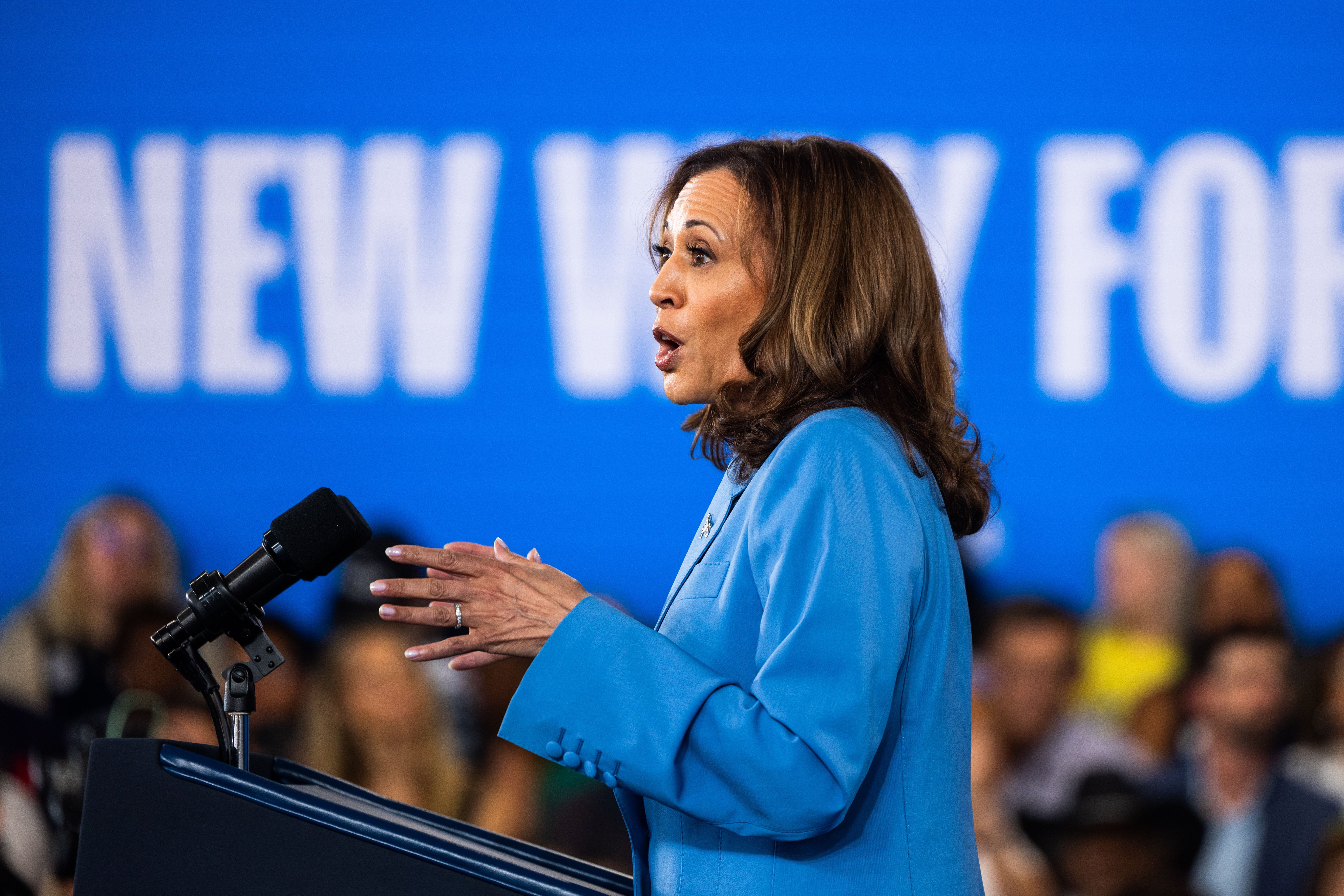 Inflation and the economy is the most important issues facing voters that Harris’s policies could push them to vote for her or Donald Trump