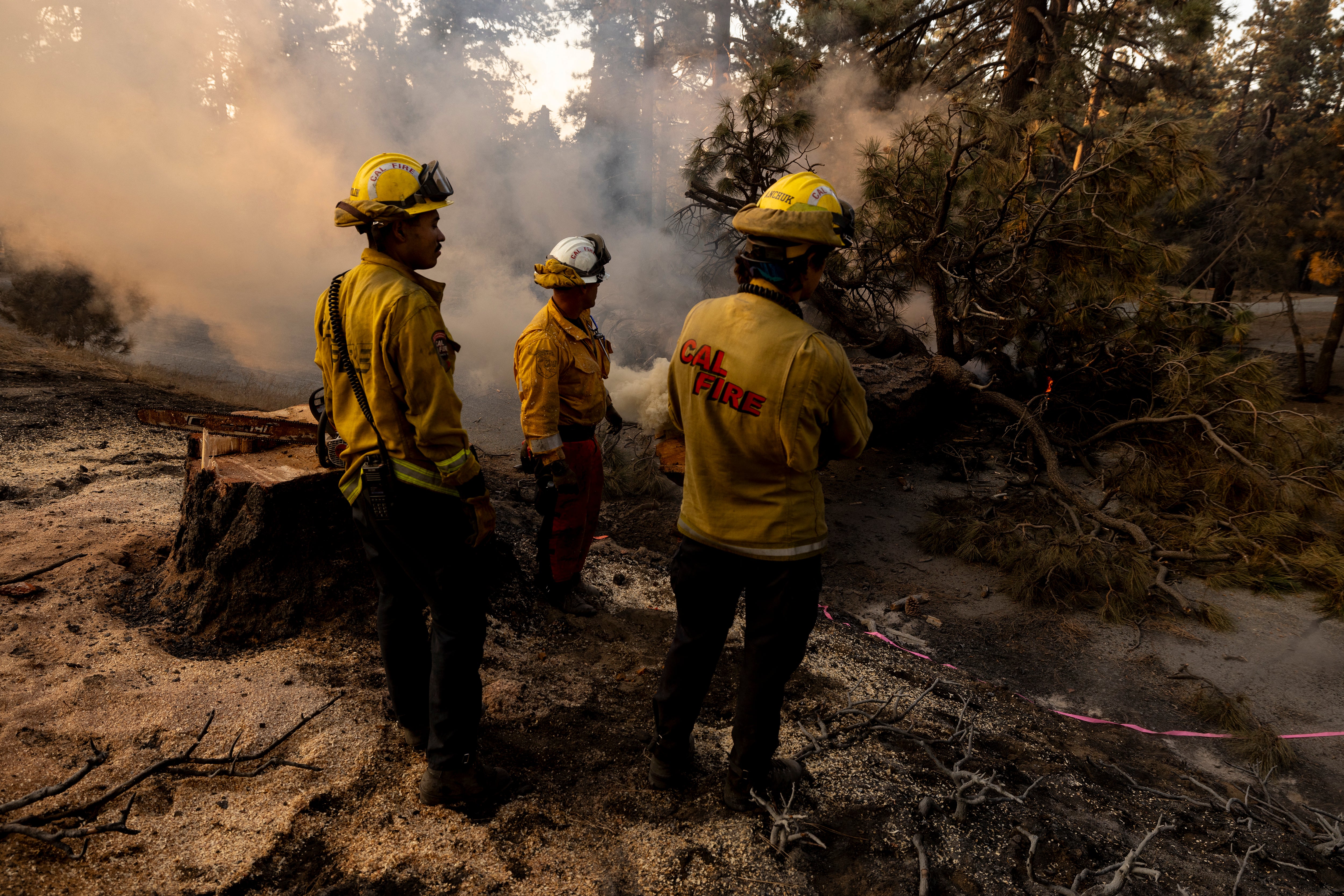 Trump has long railed against California fire policy