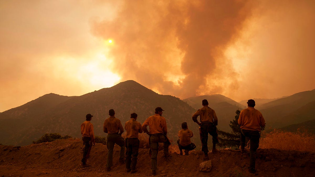 The Line Fire from a mountain view