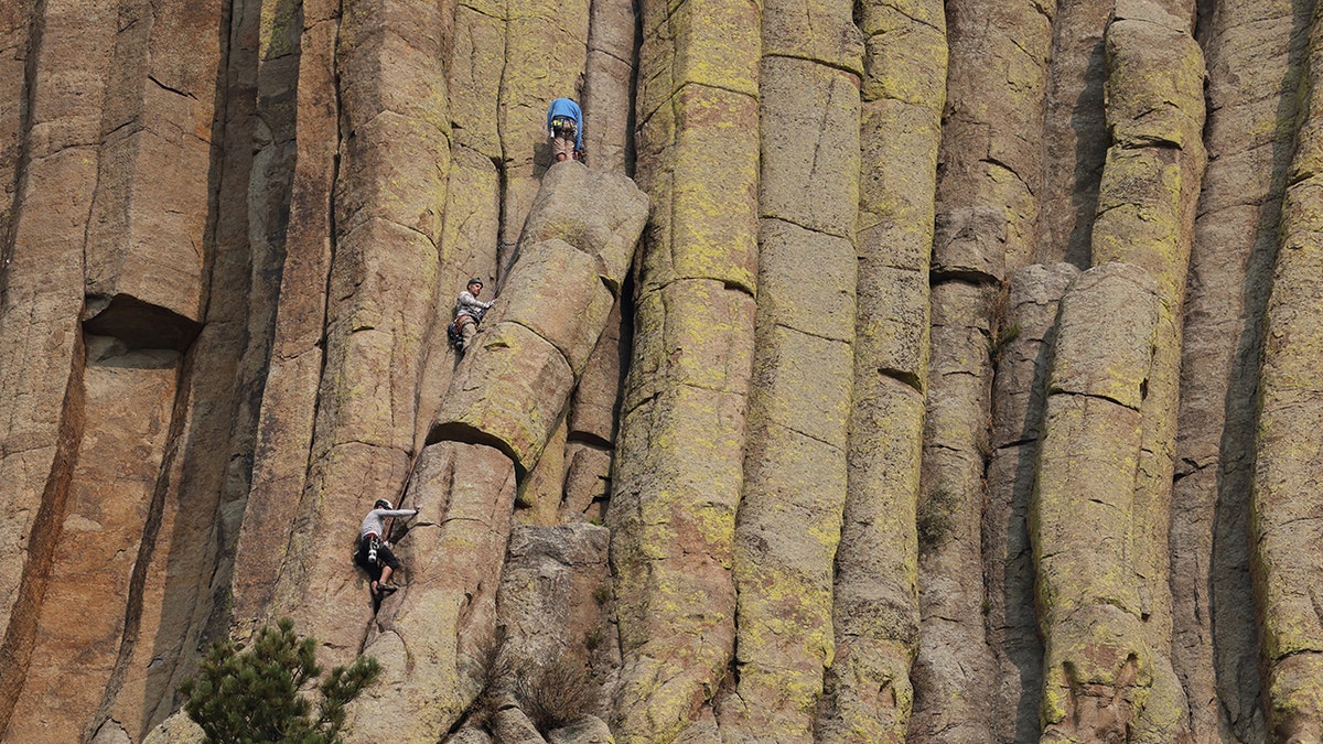 Rock climbers on a vertical stretch of Devils Tower National Monument