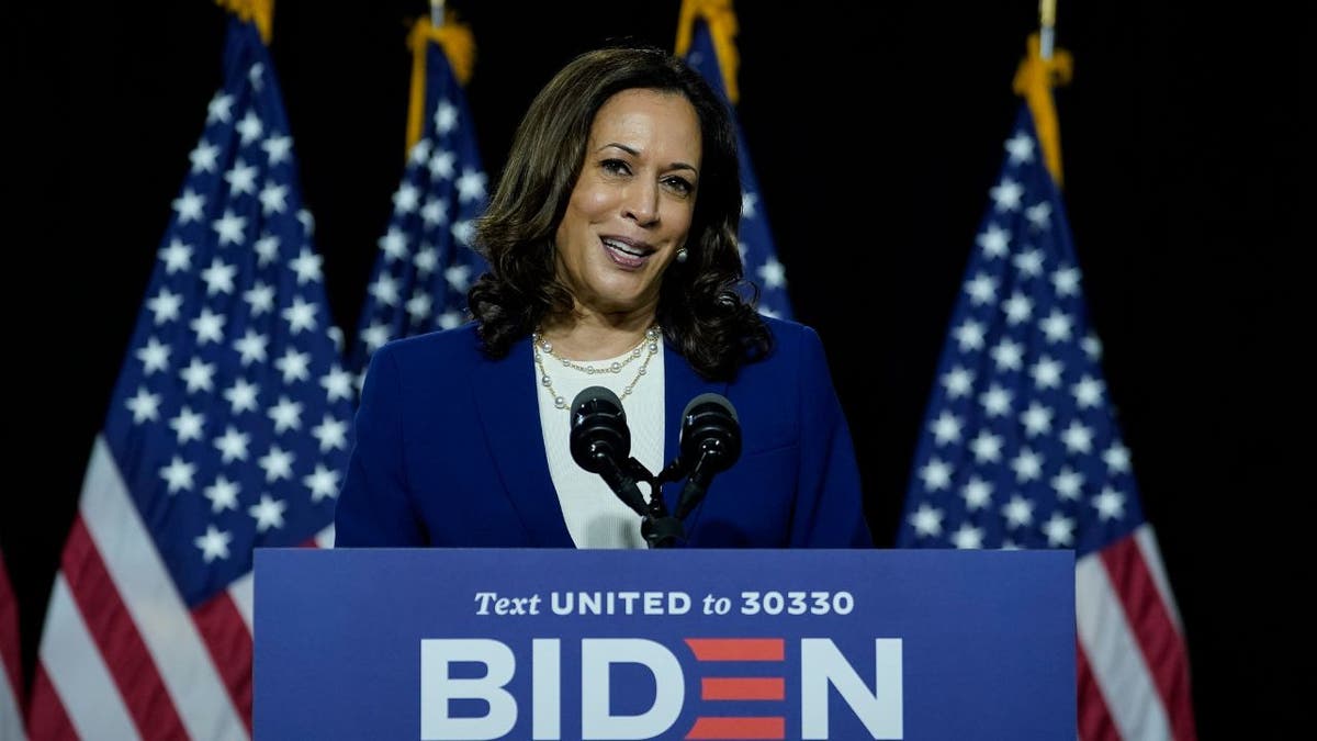 Kamala Harris campaigning in 2020