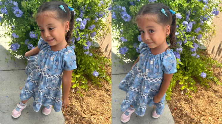 Ily Ruiz, aged three, died last week after being left in a hot car in California