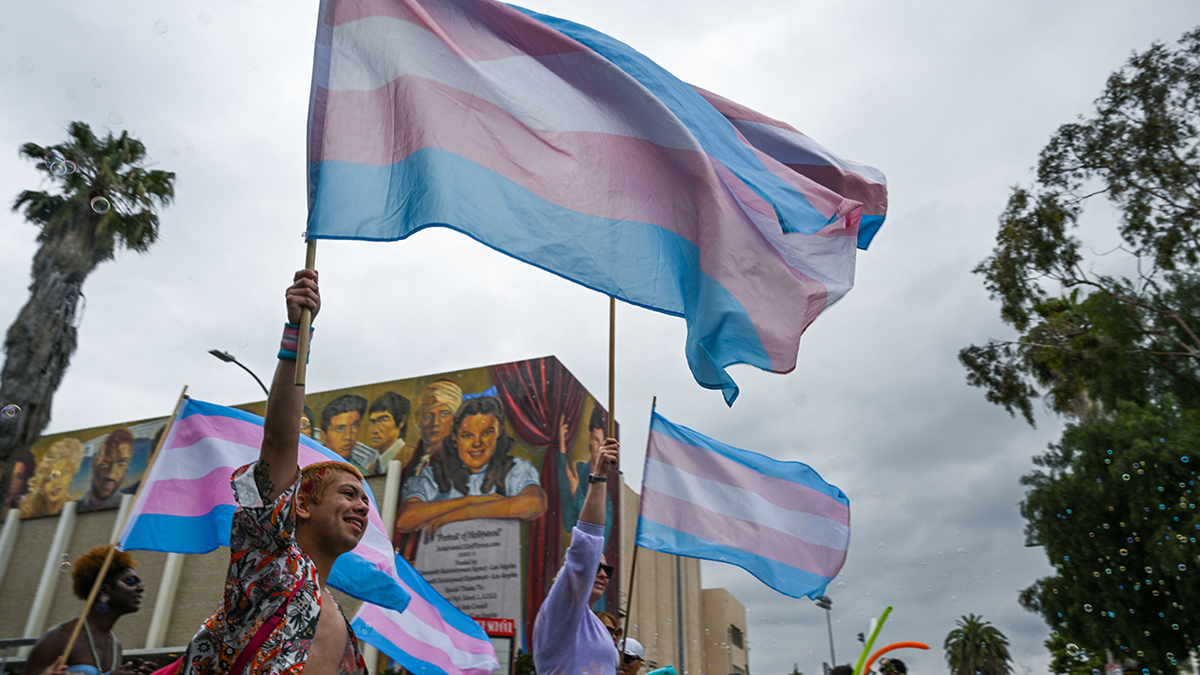 demonstrators waving transgender pride flags