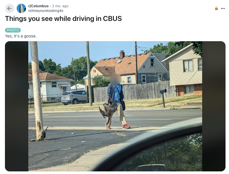 The Ohio Division of Wildlife told TMZ that the man was picking up the two geese that had been hit by a car in Columbus, which is about 45 minutes from Springfield