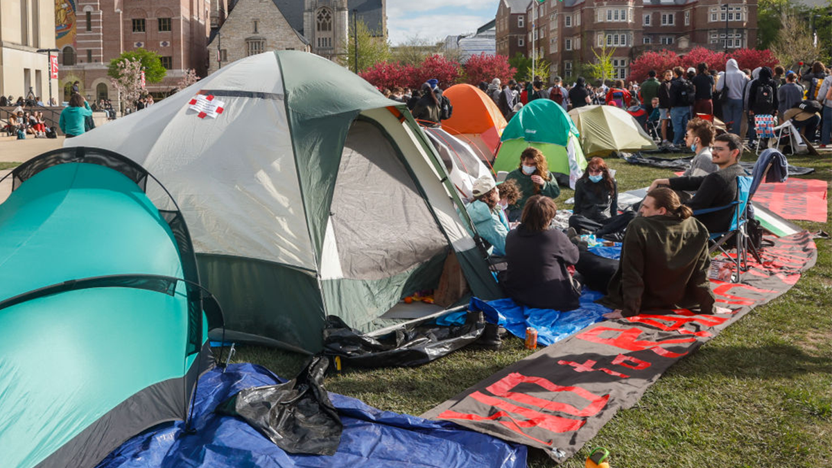 Protesters at University of Wisconsin