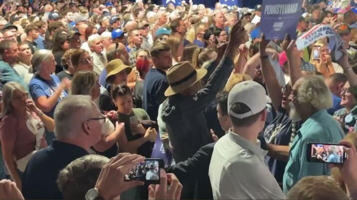 Anti-Israel protester interrupts Harris