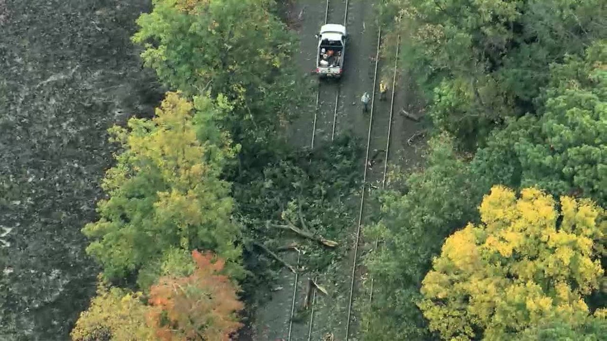 NJ Transit train strikes tree