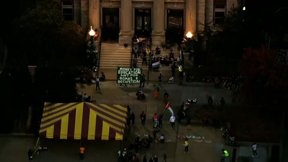 anti-Israel protesters on University of Minnesota campus