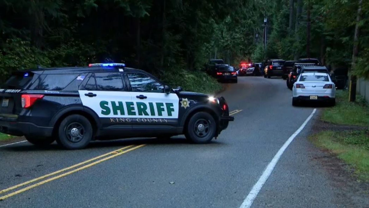 sheriff's vehicles a scene