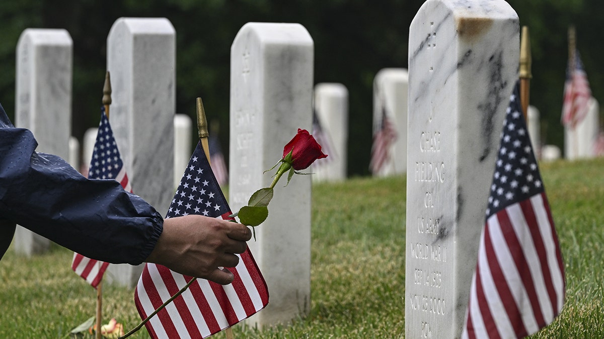 A rose is laid at a veteran's gravestone