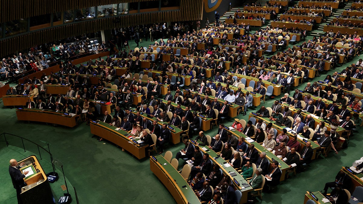 UN General Assembly