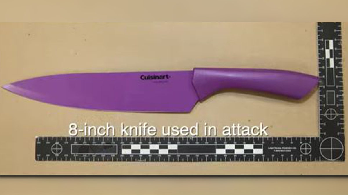 Knife used in attack on officer