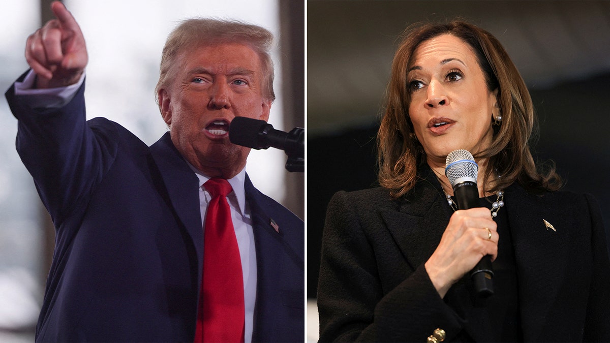 Split of Trump and Harris