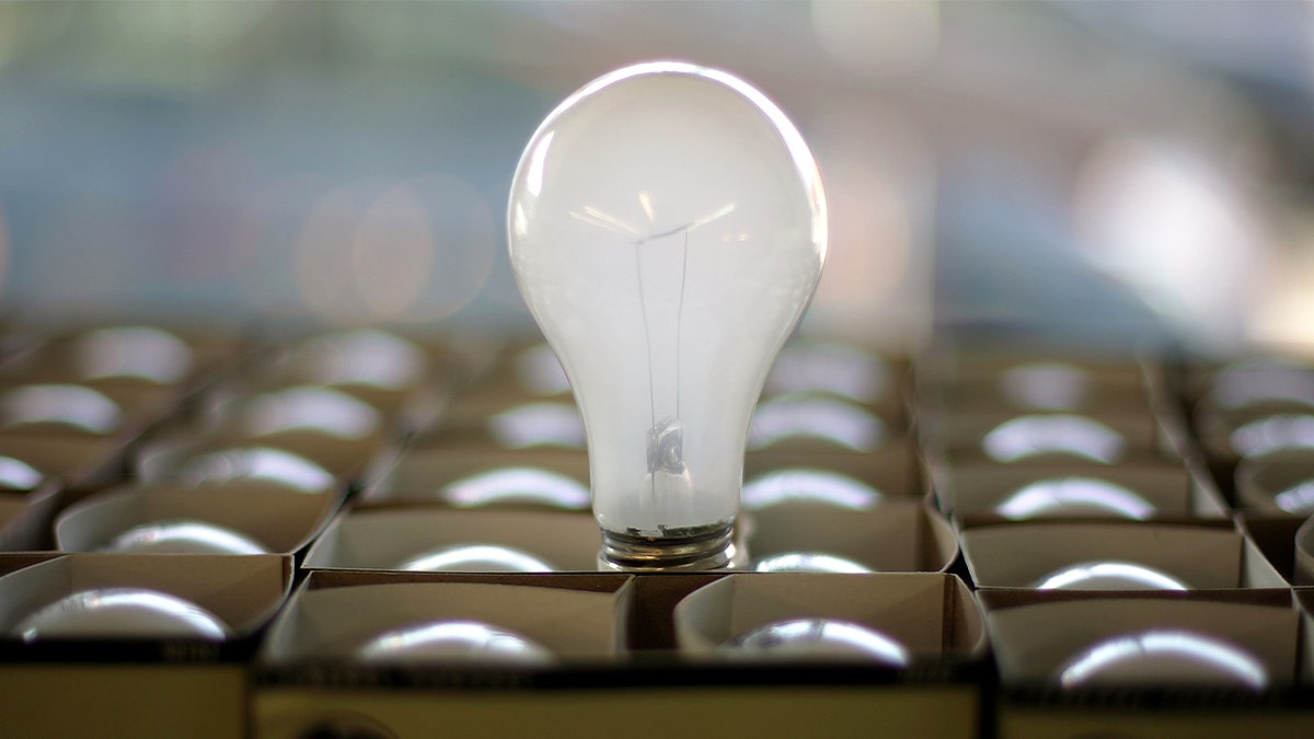 A shelf stocked with incandescent light bulbs at the City Lights Light Bulb Store in San Francisco.