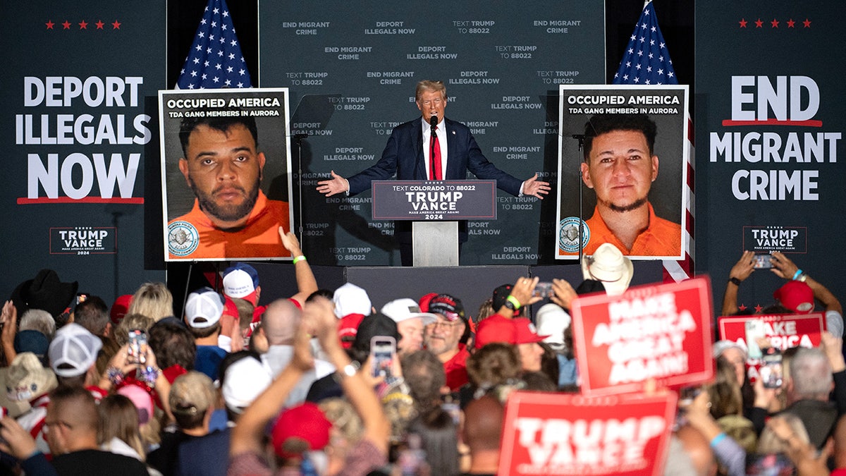 Former President Donald Trump on stage in front of cheering crowd