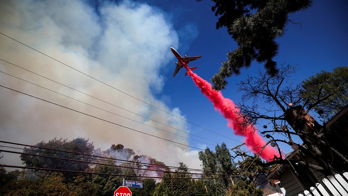 Wildfires in Los Angeles