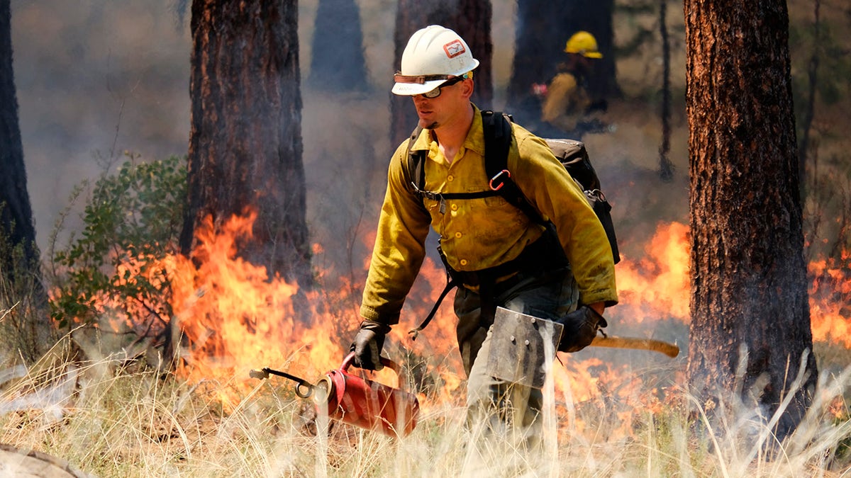 Forest Service firefighters carry out a prescribed burn on the grounds of the High Desert Museum, near Bend, Oregon. The prescribed burn is part of a massive effort in wildlands across the West to prepare for a fire season that follows the worst one on record. 