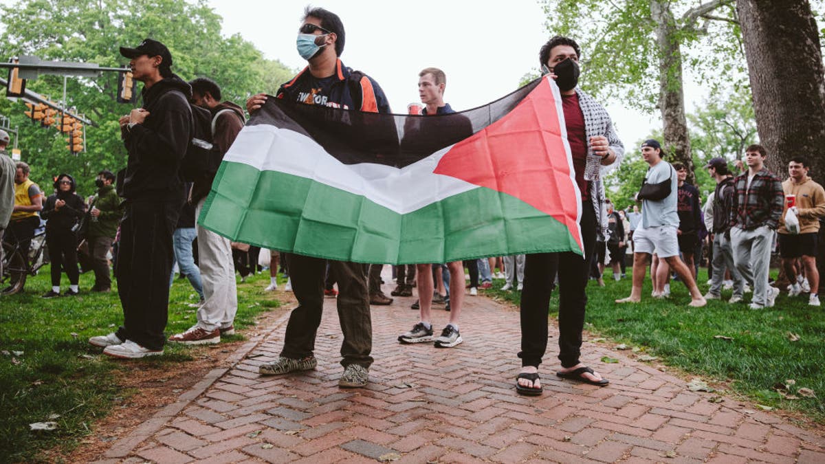 UVA protest