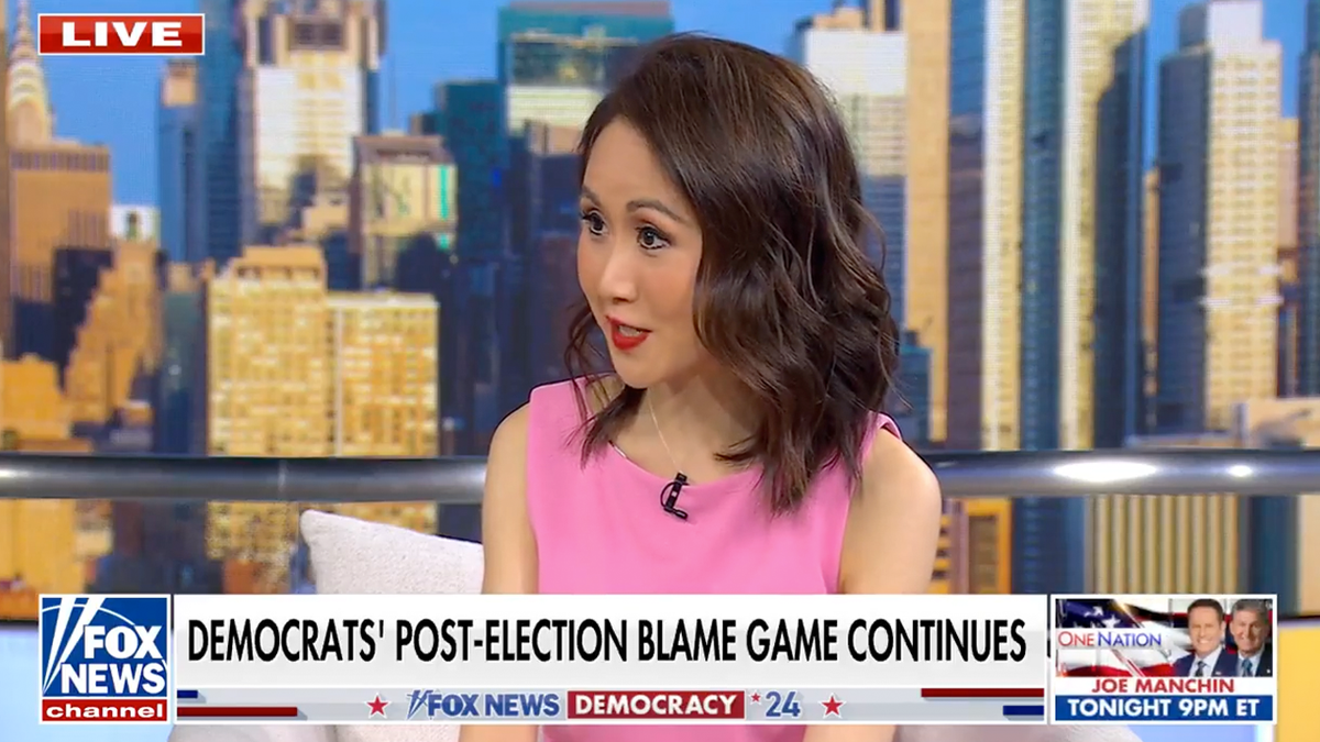 Lindy Li in Fox News appearance