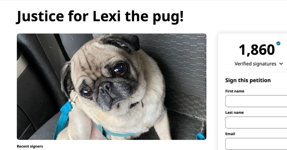 The online petition created by Chyanne Callender for her pug Lexi (Change.org).