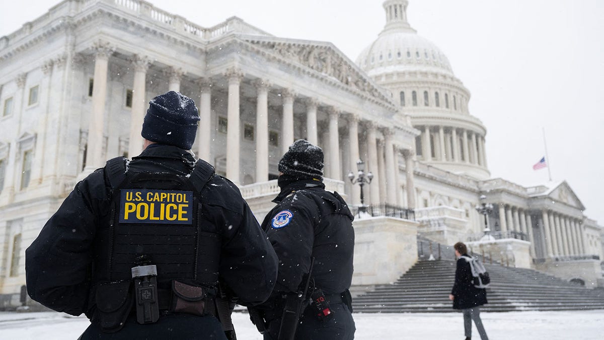 Capitol police in the snow