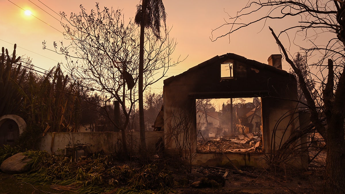 LA Wildfires