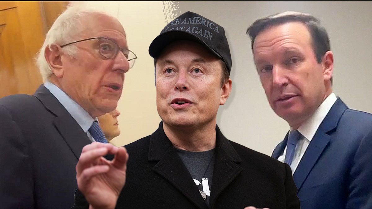 Democratic lawmakers tell Fox News they do not support how Elon Musk is going about making cuts to federal spending.