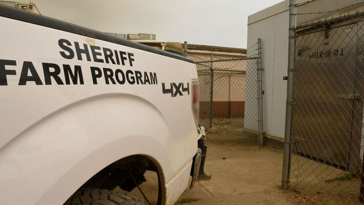 Tulare Co. Sheriff office farm truck