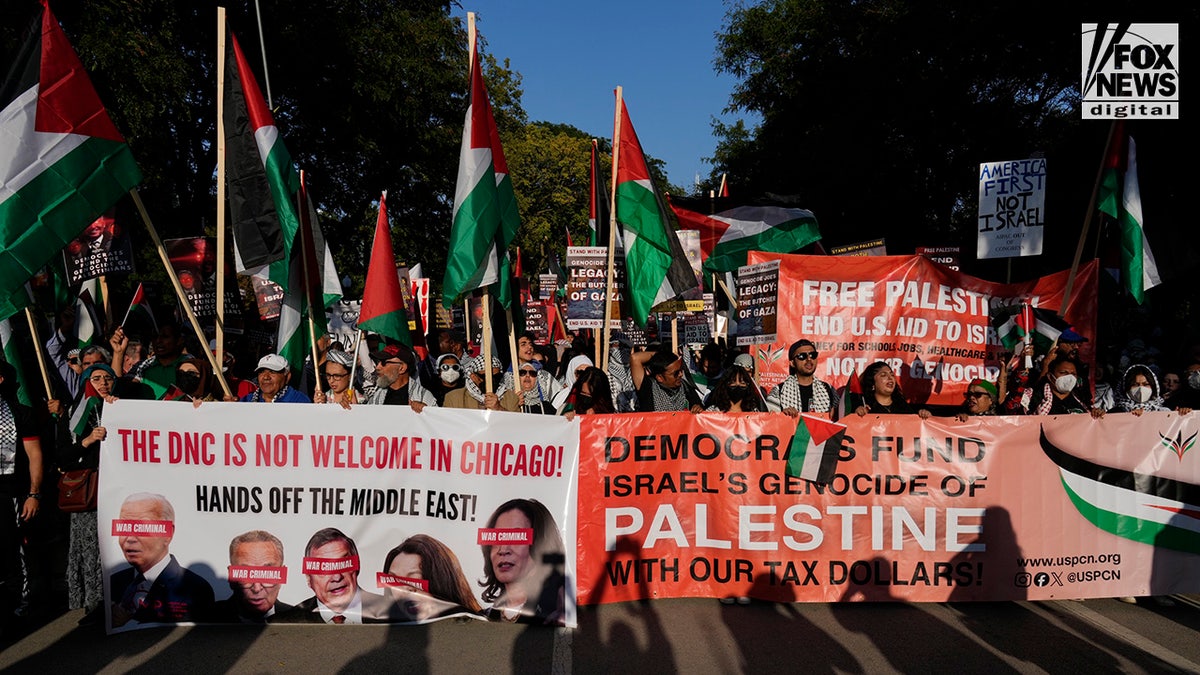 Protesters take part in the Chicago Coalition for Justice in Palestine March in Chicago